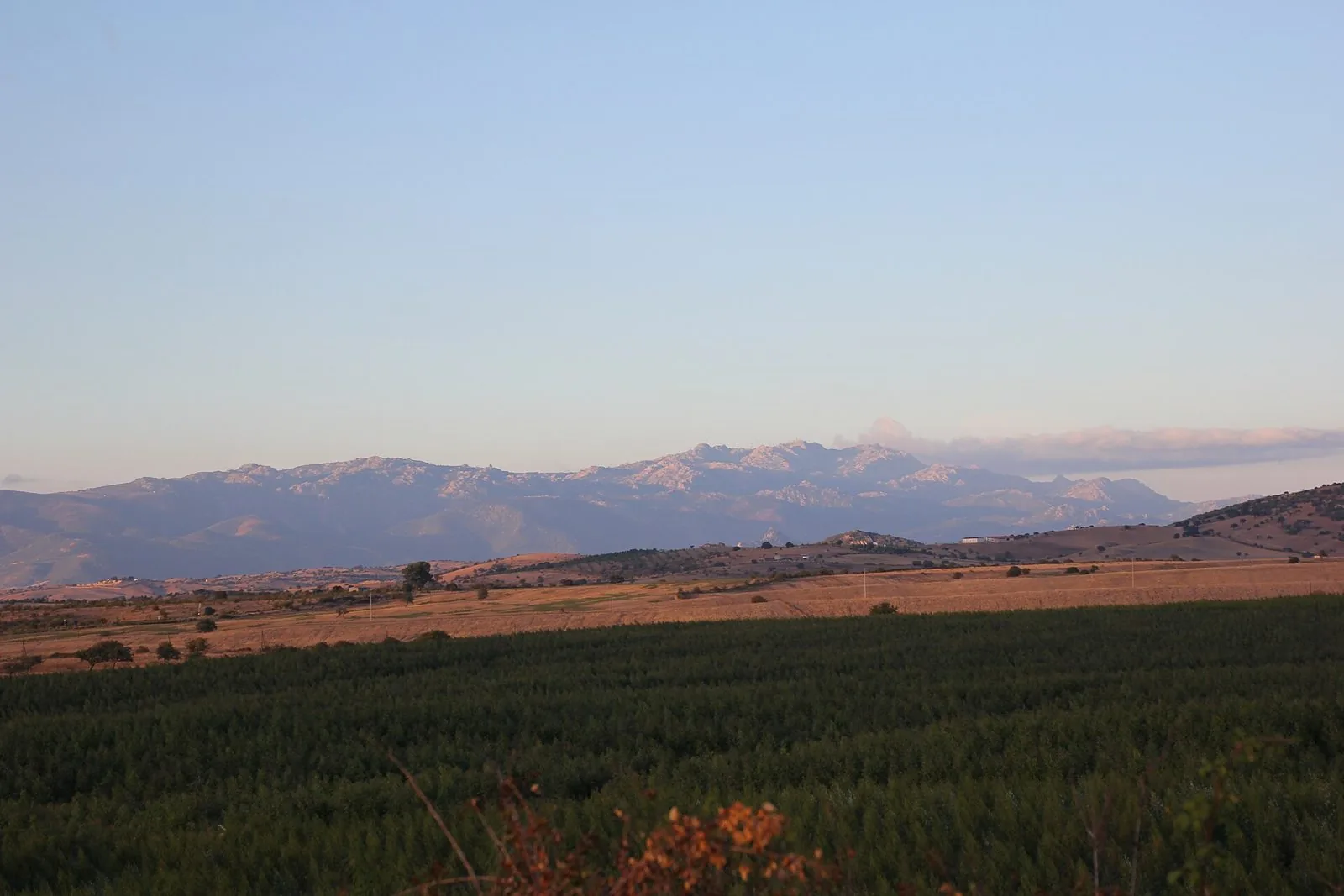 Il massiccio granitico del Monte Limbara alla luce del tramonto, con campagne in primo piano